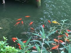-长白岛森林公园