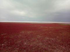 -红海滩国家风景廊道