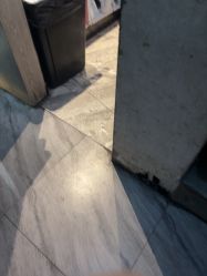 -依格宝IL COLPO明星店