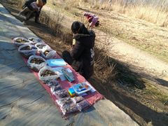 -泸沽湖国家级风景名胜区走婚桥