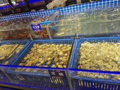 -锅儿欢海鲜火锅烤肉自助餐(东港凯虹店)