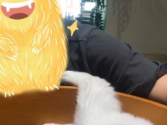 -藏猫猫咖啡主题馆(中央大道店)