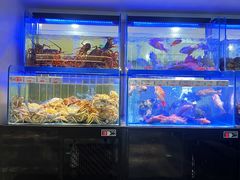 -南海渔村(珠江新城店)