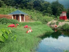 -广州市石门国家森林公园