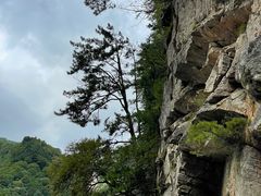 -青峰峡国家森林公园