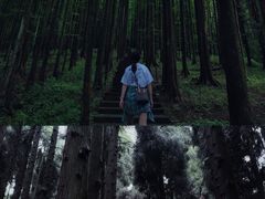 -武陵山森林公园