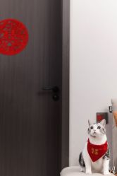 -云门影集(高新店)
