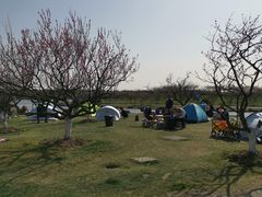 -上海海湾国家森林公园