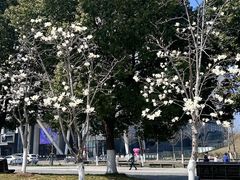 -南京眼步行桥