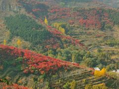 -空心山旅游区