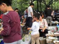 -晓港公园
