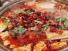 -师烤·豆花烤鱼(广州荔湾扬韬广场店)
