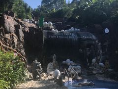 -100蛋泥浆浴