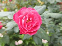 -人民公园(罗湖区)