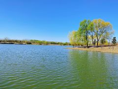 -东郊湿地公园