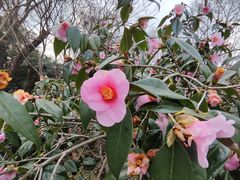 -杭州西湖风景名胜区-钱祠表忠