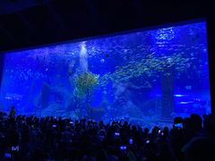 -波塞冬海底世界