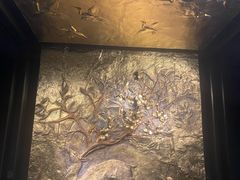 -深圳珠宝博物馆