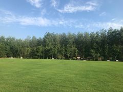 -合肥滨湖国家森林公园