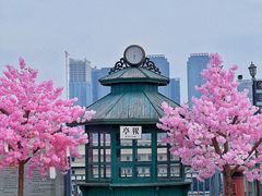 -武汉知音号