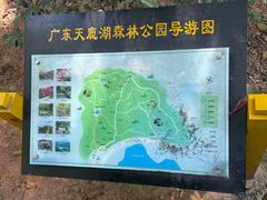 -天鹿湖森林公园