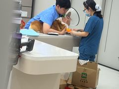 -御宝贝24h宠物医院·转诊中心·CT核磁血透中心(厦门总院)