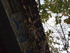 -老张烤羊(王哥庄店)