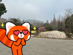 -习家池