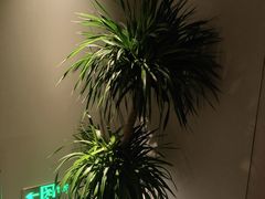 -素可汤泉(天宝大厦店)