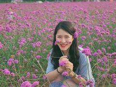 -北京东方普罗旺斯薰衣草庄园