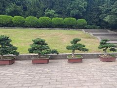 -秦始皇帝陵博物院-丽山园