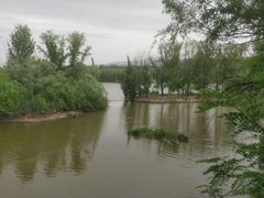 -翠湖国家城市湿地公园