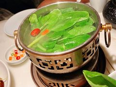水煮鸡毛菜-初蓉丨遇见新川菜(亲贤街荣耀店)
