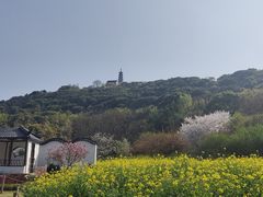 -苏州上方山国家森林公园
