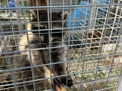 -云峰山自然风景区