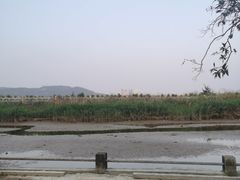 -横琴公社餐厅