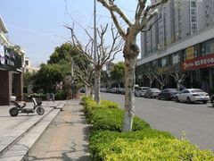 -八公叔叔宠物美容连锁(春申店)