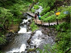 -凤凰山国家森林公园