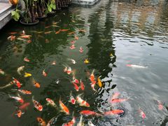 -番禺宾馆丽苑厅