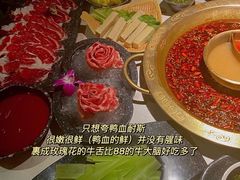 -哥老官重庆美蛙鱼头(日月光店)