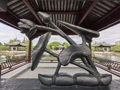 -无锡蠡湖国家湿地公园-蠡园
