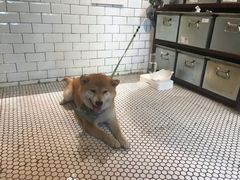 -大水的店(昙华林店)