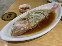-潮粤府(南翔店)