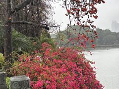 -东山湖公园