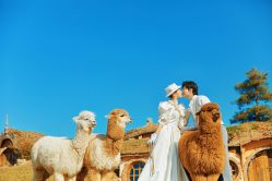 点击看大图 -太古映画婚纱摄影(天河店)