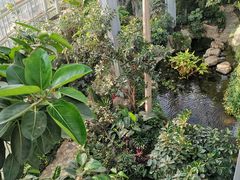 -郑州植物园