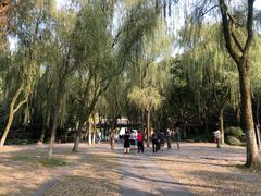 -柳浪闻莺公园