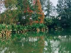 -桤木河湿地公园