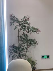 -路堤·普拉提
