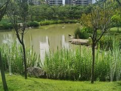 -牛岗山公园